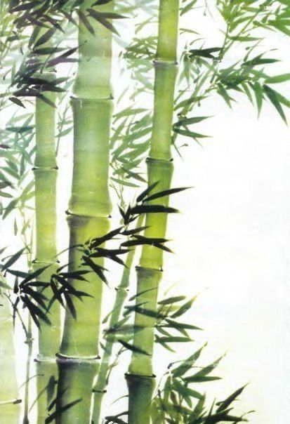 Chinese Bamboo Tree, Bamboo Art Painting, Bamboo Drawing, Painting On Canvas For Beginners, Learn Watercolor Painting, Interior Design Drawings, Chinese Art Painting, Canvas For Beginners, Plant Art Print