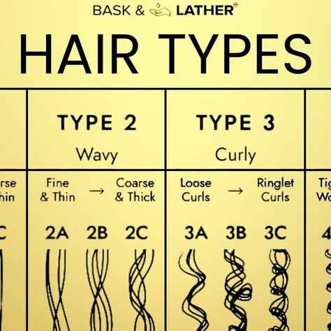 Bask&Lather Co ™ | 𝐻𝒜𝐼𝑅 𝒢𝑅𝒪𝒲𝒯𝐻 on Instagram: "What's your hair type? (Type 1, Type 2, Type 3, Type 4)  In celebration of National Clean Beauty Day we wanted to remind you that our products are all natural and safe for all hair types. 🙌🏾💛  #hairtypes #hairstyles #haircare #naturalhaircare #cleanbeauty #baskandlatherco #hairgrowth #hairtype #texturedhair #type4hair #type3hair #type2hair #kinkyhair #kinksandcoils #hairoil" Types Of African Hair Texture, How To Tell Your Hair Type, How To Know My Hair Type, What’s My Hair Type, Curly Hair Pattern Chart, Different Hair Types Chart, How To Find Out Your Hair Type, Types Of Natural Hair Textures, What Type Of Curly Hair Do I Have