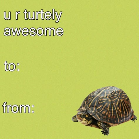 Valentines Cards Funny Friends, Valentines Day Meme Cards Funny, Cringy Valentines, Cursed Valentines Cards, Cursed Valentines, Meme Valentine, Cheesy Valentines Cards, Weird Valentines Cards, Funny Valentines Cards For Friends