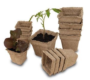 Cow pots - made from composted cow manure. Microgreen Packaging, Utopia Design, Natural Packaging, Tetra Pack, Amazon List, Cow Manure, Starting Seeds, Paper Pot, Sprouting Seeds