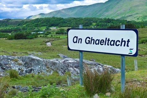 Irish language’s centuries-old roots explored in new DNA study Irish Words, Everyday English, Irish Language, Irish Quotes, Language Works, Places In America, Irish Culture, Irish Music, Language Lessons