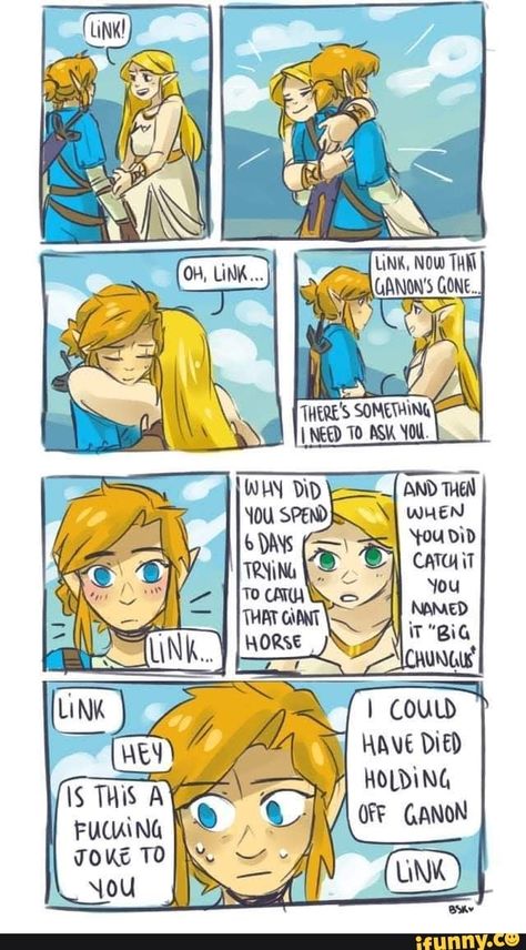 Link Botw, Legend Of Zelda Memes, Botw Zelda, Zelda Funny, Link Art, Link Zelda, Zelda Art, Legend Of Zelda Breath, Zelda Breath