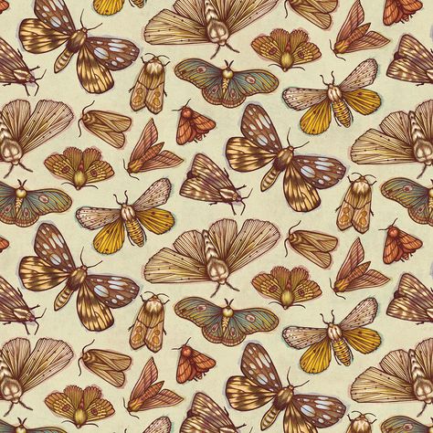 Moth Pattern on Behance Moth Pattern, Moth Illustration, Moth Art, Botanical Pattern, Repeating Patterns, Abstract Prints, Textures Patterns, Pattern Wallpaper, Background Patterns