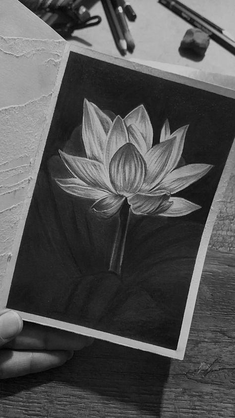 Charcoal artwork Charcoal Artwork, Charcoal Drawing, Lotus, Drawings, Quick Saves