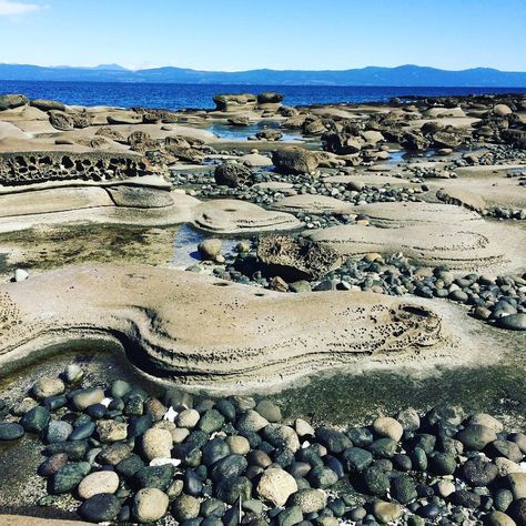 Cameron Thurbide 🇨🇦 on Instagram: “Exploring Barnacle Beach on Hornby Island this afternoon. It’s like being on another planet!!! Spectacular!  #gulfislands #myhornbystory…” West Coast Summer, Hornby Island, Cozy City, Brand Inspiration Board, Honeymoon Trip, Granola Bar, Another Planet, Story Aesthetic, Where I Want To Be