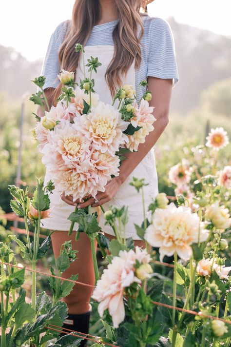 A Bouquet Of Flowers, Flower Farmer, Cut Flower Garden, Holding Flowers, Bouquet Of Flowers, Muslimah Fashion, Flower Farm, Flower Beauty, Beautiful Blooms