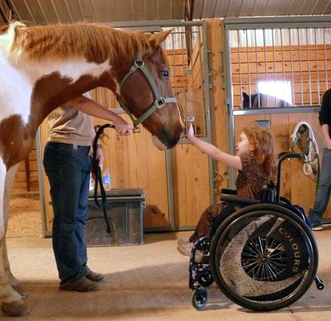 Therapeutic Horseback Riding, Therapeutic Riding, Classic Equine, Equine Therapy, Horse Therapy, Therapy Animals, All About Horses, Horse Quotes, Horse Crazy