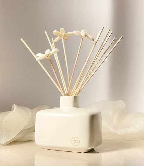 Ash Wednesday, Fancy Houses, Reed Diffuser, Home Deco, Scents, Gift Box, Porcelain, Candles, Ceramics