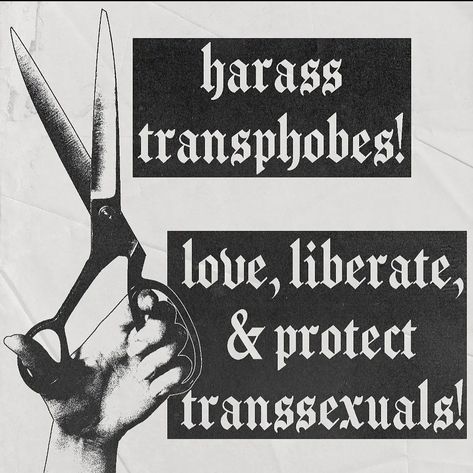 Queer Protest Poster, Queer Protest Art, Queer Punk Aesthetic, Trans Poster, Queer Posters, Queer Revolution, Trans Aesthetic, Queer Punk, Trans Art