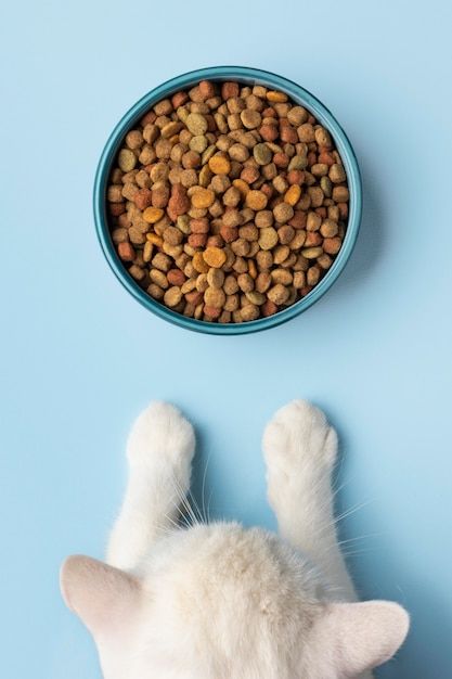 Pet Product Photography, Dog Food Photography, Dog Product Photography, Organic Cat Food, Cat Food Brands, Best Cat Food, Kitten Food, Siamese Kittens, Healthy Cat