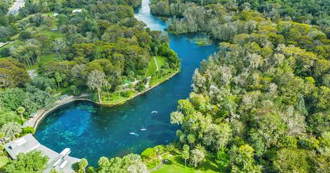 Florida Caverns State Park, Salt Cave, Glass Bottom Boat, Florida Destinations, Florida Restaurants, Silver Springs, Adventure Novels, Dappled Light, Old Florida