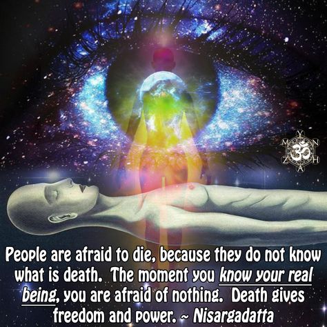 Realization Quotes, Nisargadatta Maharaj, Experience Quotes, Spirit Science, Awakening Quotes, Become Wealthy, Self Realization, Makeup Eyes, Spiritual Enlightenment