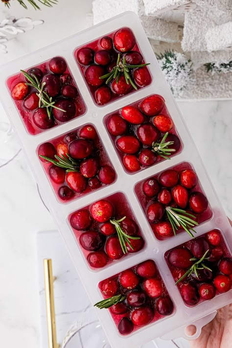 oversized square ice cubes with frozen cranberries, and a sprig of rosemary Rosemary Ice Cubes, Christmas Mocktail, Rosemary Cocktail, Christmas Mocktails, Goat Cheese Appetizer, Layered Drinks, Christmas Recipes Appetizers, Sparkling Cider, Apple Season