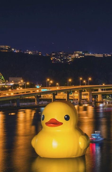 Rubber Ducky in da Burgh! Giant Rubber Duck, Visit Pittsburgh, Yellow Rubber Duck, Lucky Ducky, Big Duck, Pittsburgh Pride, Duck Wallpaper, American City, Rubber Duckies