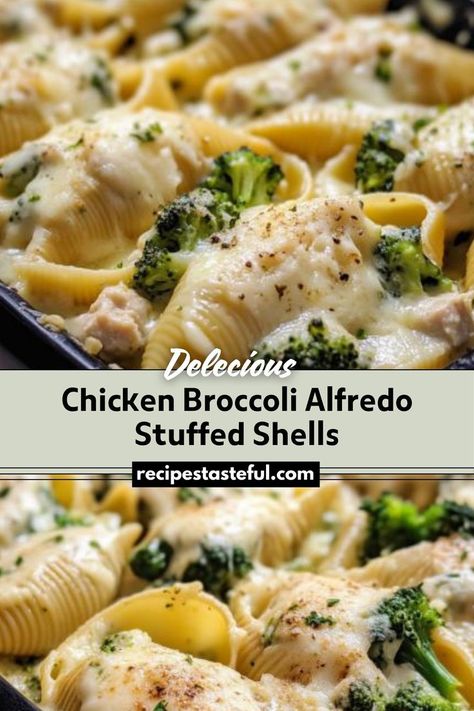 Creamy and cheesy stuffed pasta shells filled with tender chicken and broccoli, all coated in a rich Alfredo sauce. Cheesy Stuffed Pasta, Broccoli Stuffed Shells, Alfredo Stuffed Shells, Chicken Alfredo Stuffed Shells, Chicken Stuffed Shells, Chicken Broccoli Alfredo, Jumbo Pasta Shells, Stuffed Pasta, Shells Recipe