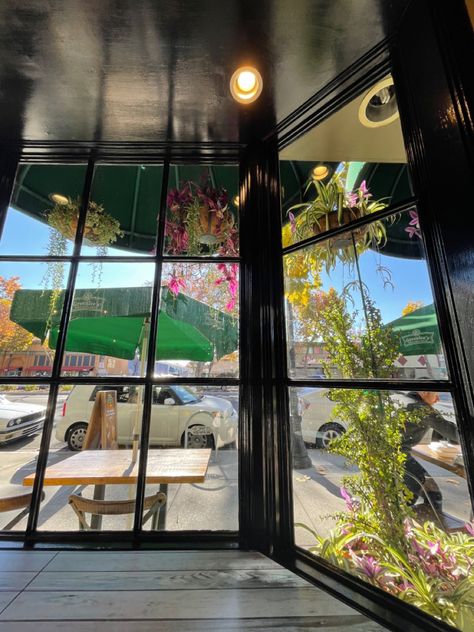 Pretty aesthetic cafe window picture with hanging plants #fall #cafe Cafe Big Window, Window With Plants, Fall Cafe, Cafe Window, Window Picture, Rustic Cafe, Aesthetic Cafe, Pretty Aesthetic, Big Windows