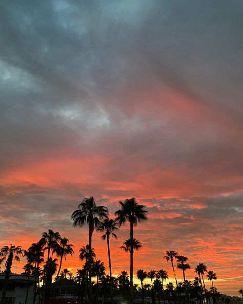 Foto del atardecer en Cabo San Lucas Cabos San Lucas, Los Cabos San Lucas, San Lucas, Cabo San Lucas, Nature Wallpaper, Nature Beauty, Beauty, Nature