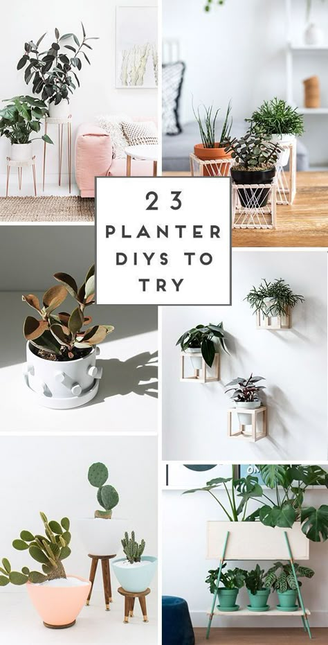 Planters Ideas, House Loft, Dekor Diy, Work Diy, House Plants Decor, Diy Planters, Diy Plants, Cheap Decor, Modern Diy