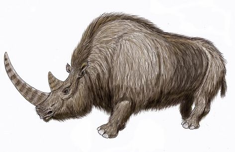 20 Incredible Animals That Are Extinct Now Ground Sloth, Extinct Species, Wooly Mammoth, Paleo Art, Green Hills, Extinct Animals, Nature Life, Cave Paintings, Dnd Ideas