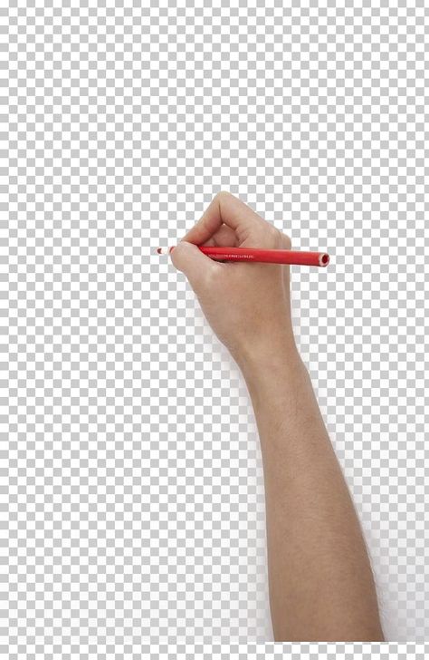 Pencil Png, Drawing Time, Paula Scher, Draw Hands, Png Aesthetic, Pencil Writing, Color Pencil, Elements Of Art, Facade House