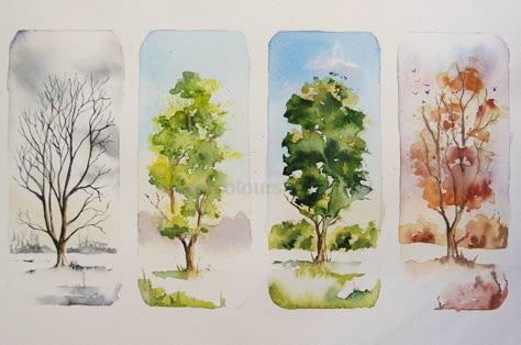 Walk Everyday, Watercolor Art Landscape, Tree Study, Summer Trees, Watercolor Tree, Diy Watercolor Painting, Watercolour Inspiration, Watercolor Projects, Watercolor Images