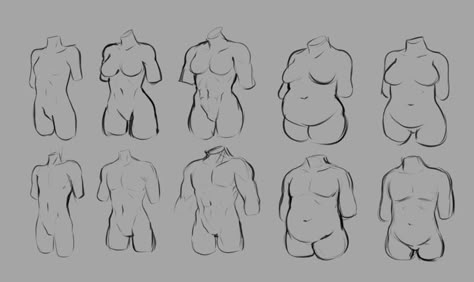 Type Chart, Body Type Drawing, Body Sketches, Body Drawing Tutorial, Human Anatomy Art, Body Reference Drawing, Concept Art Drawing, Arte Sketchbook, Figure Drawing Reference