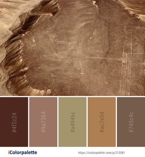 Color Palette ideas from 1519 Rock Images | iColorpalette History Color Palette, Ancient Color Palette, Zookeeper Movie, Rock Color Palette, Website Color Themes, Brand Colors Inspiration, Fall Dec, Image Rock, Color Palette Ideas