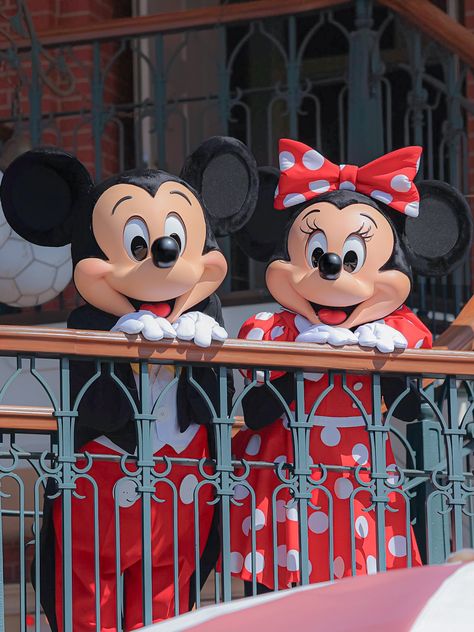 Disney Widgets, Disney Mascots, Disney Studios Paris, Disney Best Friends, Disney Florida, Disney Lifestyle, Disney 50th Anniversary, Disney Photo Ideas, Disney Photography