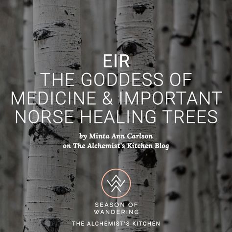 The feminine goddess culture and herbal medicine go hand in hand across cultures and ancestral traditions. The goddess culture of the Norse people places great importance on the relationship goddess had with healing. Goddess Of Medicine, Eir Goddess, Norse People, Viking Quotes, Norse Goddess, Norse Myth, Earth Mother, Norse Pagan, Celtic Mythology