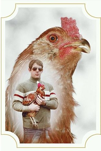 Horrendously Awful Glamour Shots with Pets | from S&U via Pleated-Jeans.com Holding A Chicken, Awkward Photos, Awkward Family Photos, Bad Photos, Funny Christmas Cards, 웃긴 사진, Family Humor, A Chicken, E Card