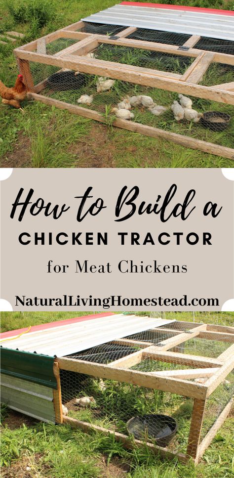 Backyard Chicken Tractor, Meat Bird Coop Ideas, Simple Chicken Tractor Ideas, Simple Chicken Tractor, Diy Meat Chicken Coop, Chicken Tractors Diy, Meat Bird Coop, Meat Birds Coop, Meat Chicken Coop Ideas