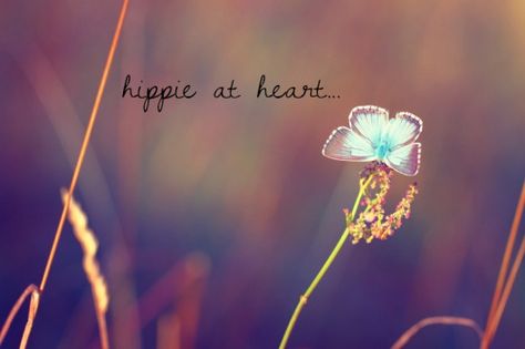 Flower Quotes Inspirational, Hippie Things, Fb Cover Photos, Peace Love Happiness, Bohemian Soul, Fb Cover, Hippie Life, Hippie Love, Free Falling