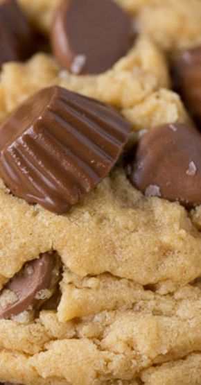 Reese's Peanut Butter Cup Cookies Reese's Peanut Butter Cup Cookies, Reese's Peanut Butter Cup, Cup Cookies, Peanut Butter Cup Cookies, Peanut Butter Desserts, Peanut Butter Cup, Reeses Peanut Butter Cups, Reeses Peanut Butter, Peanut Butter Recipes