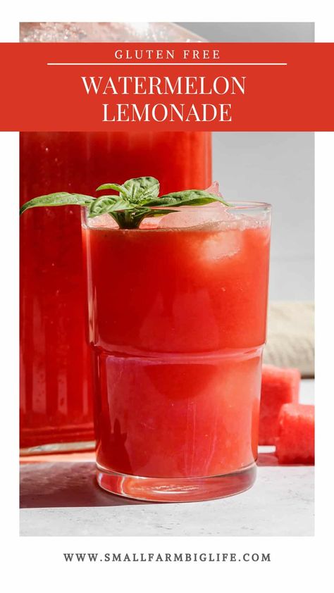 Fresh Fruit Drink Recipes, Fruit Drinks Recipes, Fresh Fruit Drinks, Watermelon Juice Recipe, Gluten Free Drinks, Watermelon And Lemon, Watermelon Drink, Watermelon Lemonade, Drink Recipes Nonalcoholic