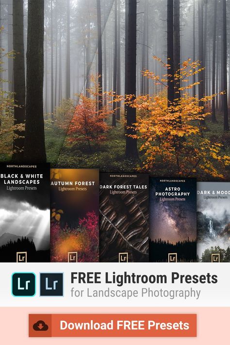 A collection of carefully selected and high-quality Lightroom presets for landscape and travel photography: Dark & Moody Presets / Autumn Forest Presets / Black & White Presets / Astrophotography Presets and more! All presets are compatible with Adobe Lightroom 4-6, CC and Classic (Windows & Mac) as well as the free Lightroom Mobile app for iOS and Android Autumn Preset, Free Presets For Lightroom, Photography Topics, Presets For Lightroom Free, Presets Lightroom Free, Moody Presets, Best Free Lightroom Presets, Photography Dark, Vintage Lightroom Presets