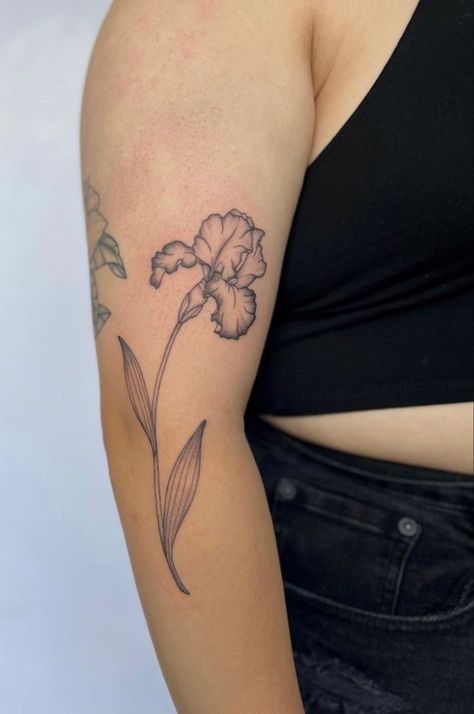 Floral Tattoo Placement, Tattoo Designs Inspiration, Iris Flower Tattoo, Bali Tattoo, Care Bear Tattoos, Tats Ideas, Iris Tattoo, Flower Tattoo Ideas, Chic Tattoo