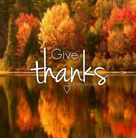 Happy Thanksgiving Images, Fashion Quotes Inspirational, Thanksgiving Prayer, Thanksgiving Pictures, Thanksgiving Blessings, Thanksgiving Wishes, Thankful Quotes, Thanksgiving Images, Thanksgiving Inspiration