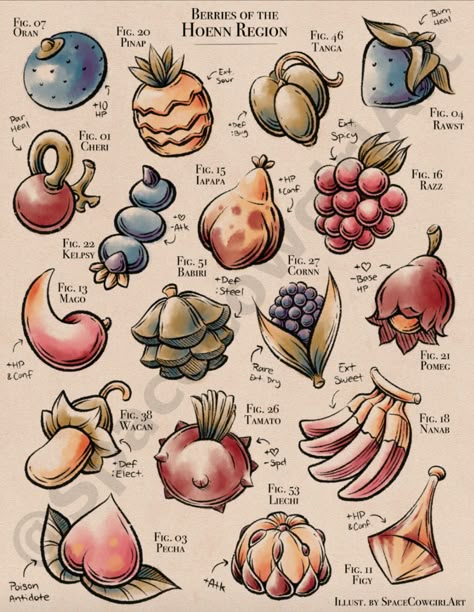 Pokemon Berries, Hoenn Region, Pokemon Poster, Pokemon Regions, Oc Pokemon, Cool Pokemon Wallpapers, Pokemon Tattoo, Food Fantasy, Fantasy Food