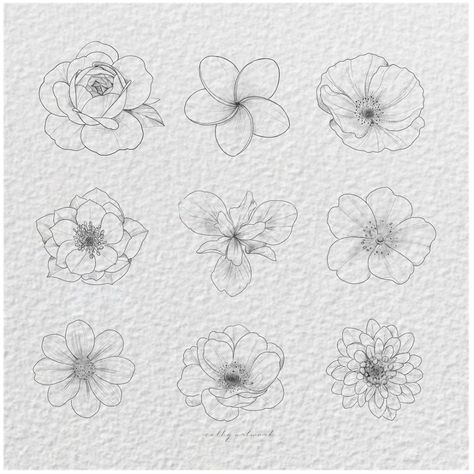 Dahlia Drawing, Simple Flower Drawings, Dahlia Tattoo, Drawing Outlines, Simple Flower Drawing, David Austin Rose, How To Draw Flowers, Son Tattoo, Dog Rose