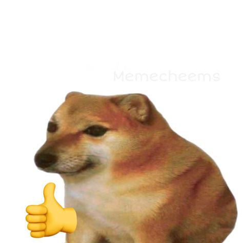 Cheems Dog, Dog Meme, Dog Memes, Shiba Inu, Pretty Quotes, Reaction Pictures, Cat Memes, Scooby Doo, Penguins