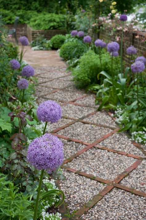 Allium Bulbs | Item # 6019 Globemaster | For Sale Allium Garden, Pinterest Plant, Allium Giganteum, Lilac Plant, Allium Flowers, Pallets Garden, Garden Journal, Spring Bulbs, Home Landscaping