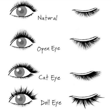 Color Lashes, Lash Bar, Lash Extentions, Lash Style, Eyelash Extensions Styles, Perfect Eyelashes, Eyelash Extentions, Black Lashes, Lashes Logo