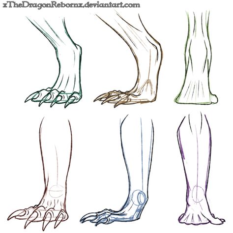 Dragon Anatomy, Feet Drawing, Drawing Legs, Dragon Sketch, The Siren, Creature Drawings, Dragon Artwork, Anatomy Drawing, Mythical Creatures Art