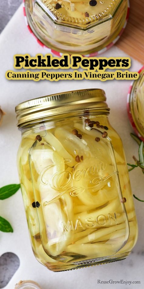 Waterbath Canning Peppers, Pickles Peppers Recipe, How To Can Peppers In Vinegar, Canning Wax Peppers, Banana Pepper Brine Recipe, Canning Hot Peppers Vinegar, Pickling Peppers Canning, Pickled Green Peppers Recipe, Hot Peppers In Vinegar