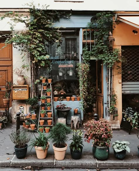 Flower Shop Interiors, Flower Shop Decor, Flower Shop Design, Exterior Inspiration, Bar Vintage, Flower Store, Florist Shop, Paris Shopping, Most Beautiful Flowers