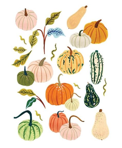 Pumpkin Illustration Autumn, Fall Widgets, Autumn Illustrations, Autumn Doodles, Autumn Prints, Fall Drawings, Pumpkins And Gourds, Pumpkin Illustration, Paint Water