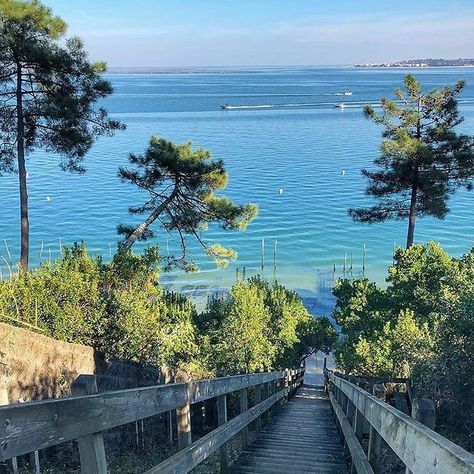 Un des plus beau panorama sur le Bassin, près du port de la Vigne :) Magnifique photo de @isabelledepaire #hiver #BassindArcachon #paysage #legecapferret #vue #arcachon #espritbassin #view #landscape #sea #mer #pin #escalier #panorama #vuemer #repost #instagram Bucketlist Summer, Landscape Sea, View Landscape, Cap Ferret, Summer Bucket Lists, Aquitaine, My Happy Place, Land Scape, Travel Bucket