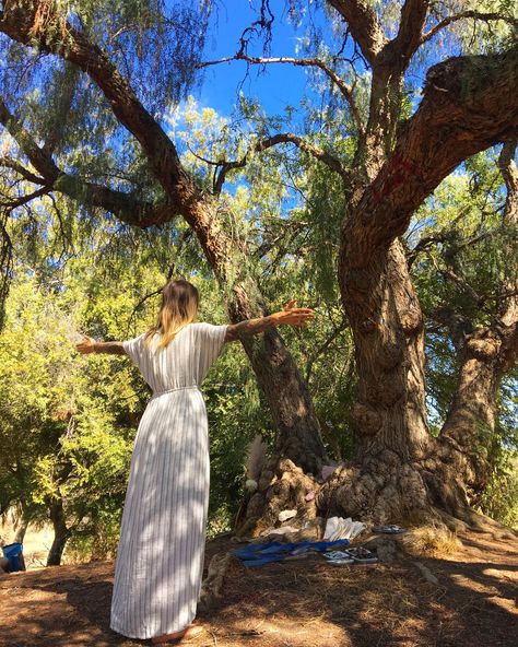 22 Teachings A PRAYER FOR GAIA – EARTH HEALING RITUAL Earth Healing, Growth And Decay, How To Teach Kids, Mother Goddess, Witchy Woman, Great Life, A Prayer, Ancient Greece, Earth Day