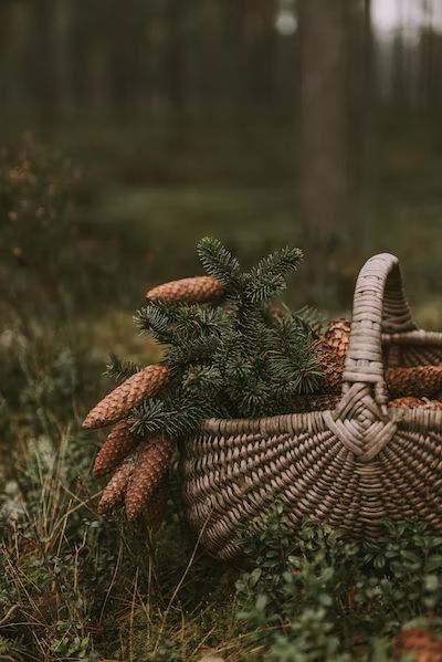 Winter Life Aesthetic, Forest Aesthetic Wallpaper, Souls Aesthetic, Woodsy Aesthetic, Cozy Images, Autumn Cottagecore, Winter Cottagecore, Green Academia, Autumn Woods