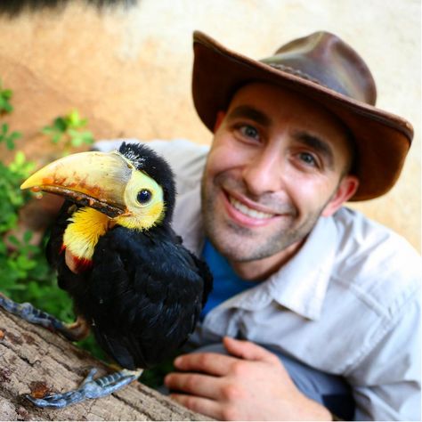 Coyote Peterson Feeds a Hungry Rescued Baby Toucan a Yummy Fruit Salad Using a Spoon Coyote Peterson, Baby Toucan, Bird Types, Kingdom Animalia, Brave, Animals